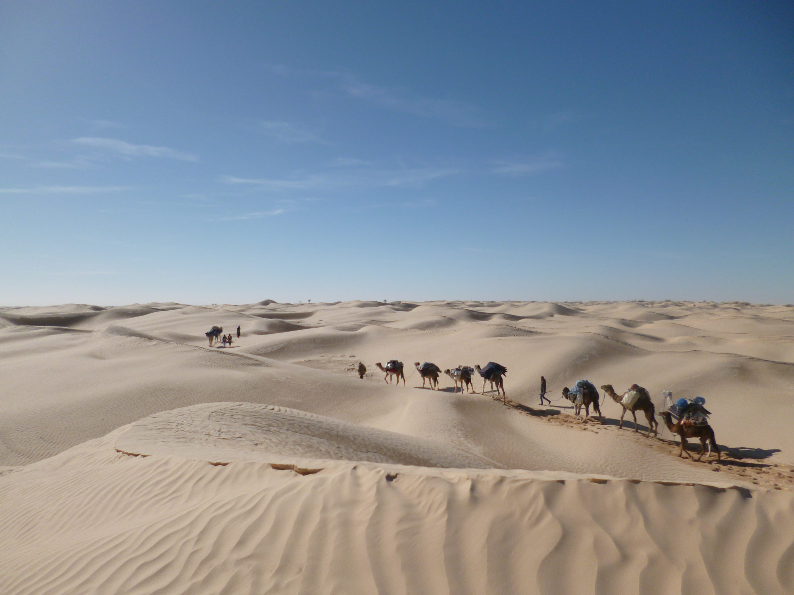 Trek dans le désert tunisien