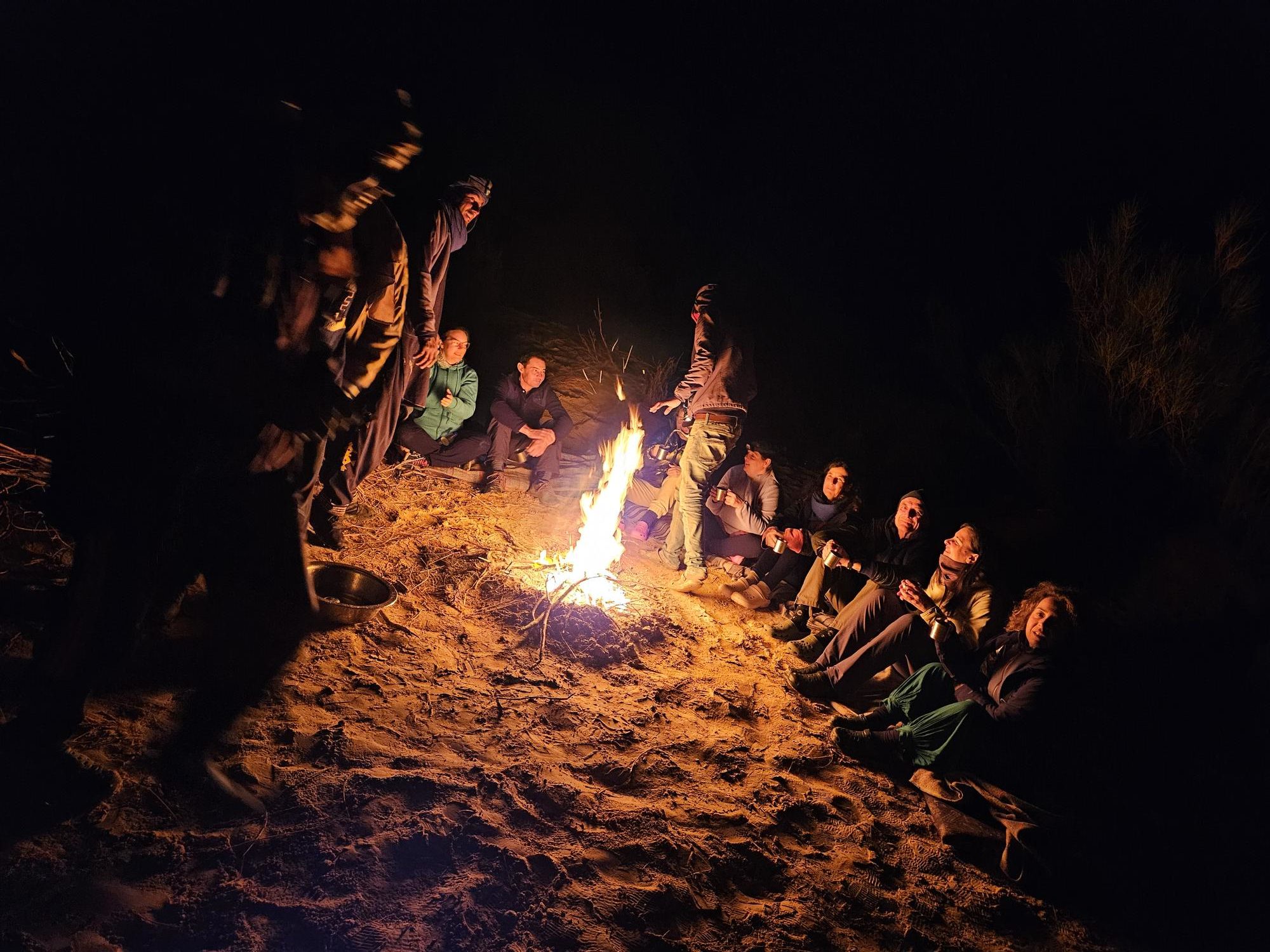 Palmeraie en Tunisie